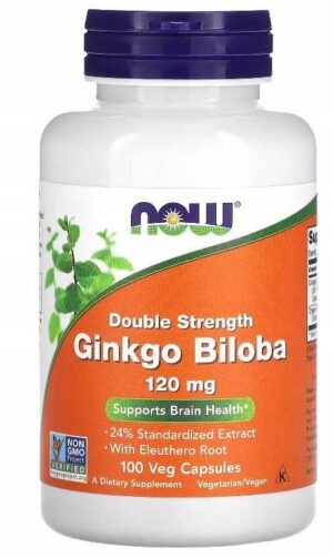 GINKGO BILOBA Double Strength 120mg 100k NOW FOODS