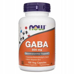 GABA 500mg z B6 100 kaps - Kwas Gamma Aminomasłowy