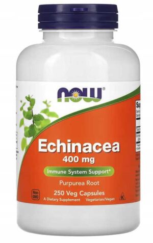 ECHINACEA - JEŻÓWKA PURPUROWA - Now Foods 250 kaps