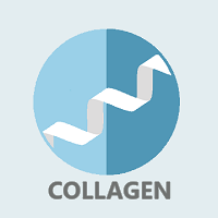 KOLAGEN